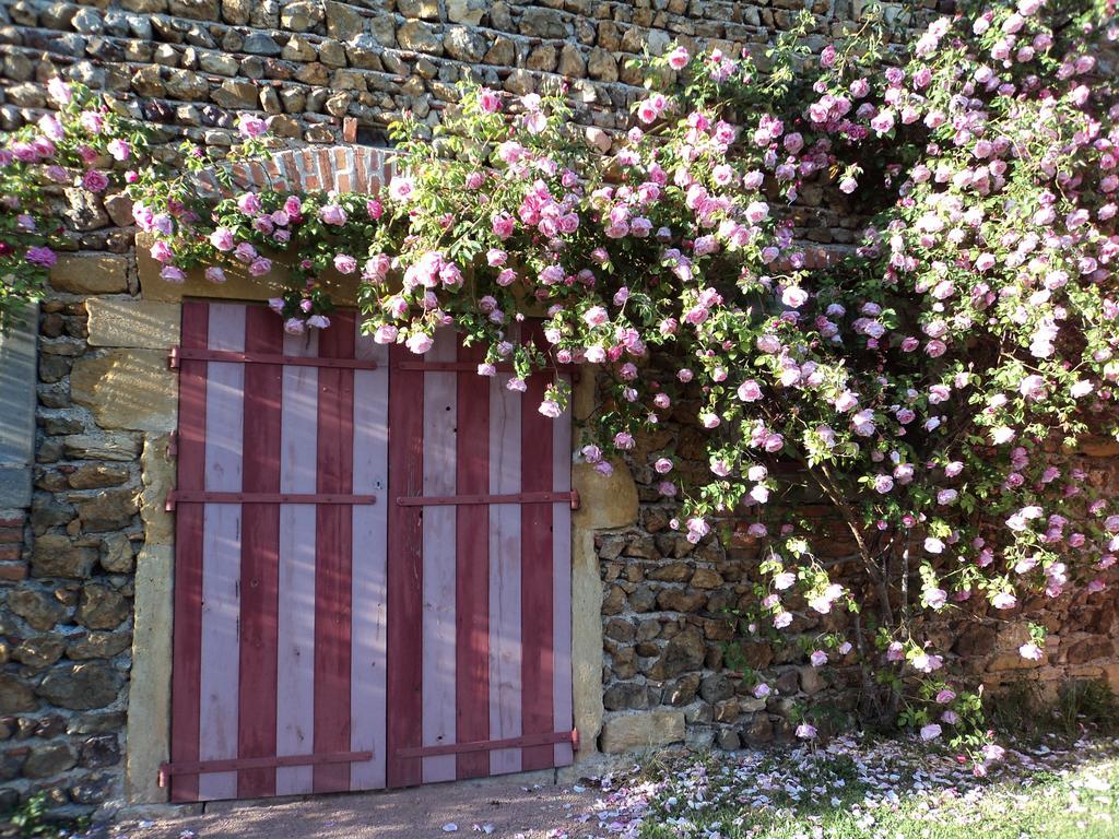 Chambres D'Hotes La Vie En Roses Iguerande Экстерьер фото